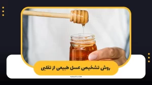 روش تشخیص عسل طبیعی از تقلبی و باورهای غلط مردم